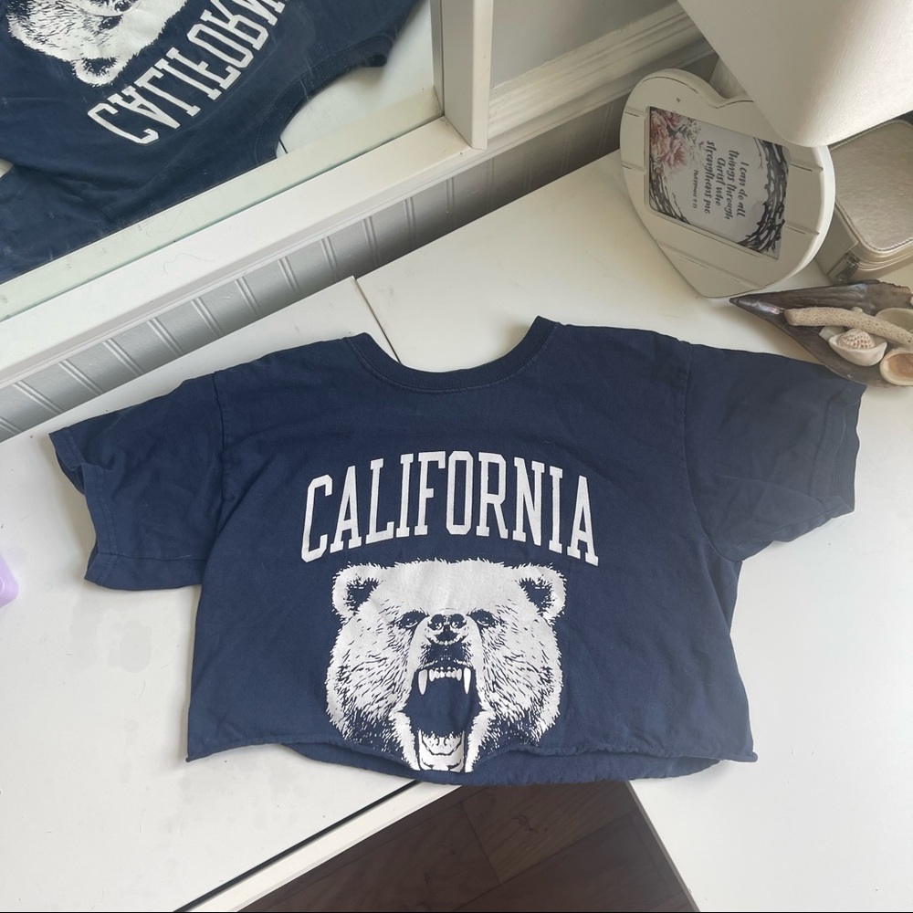 Pacsun crop top